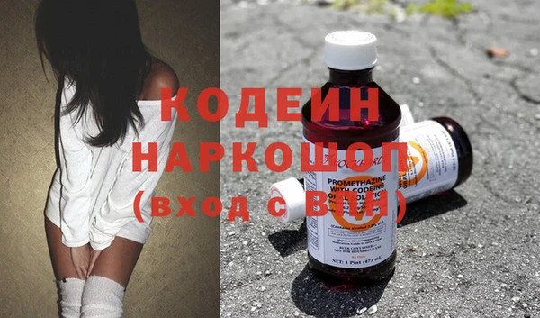 индика Волоколамск