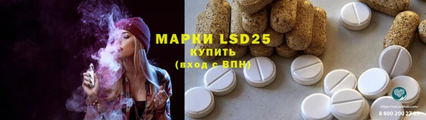 PSILOCYBIN Верея