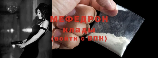 индика Волоколамск