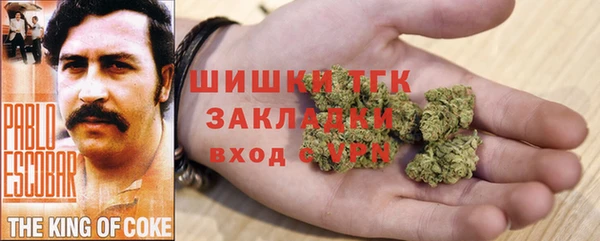 PSILOCYBIN Верея
