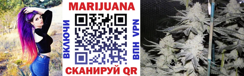 Каннабис план  Купить  Ахтубинск 